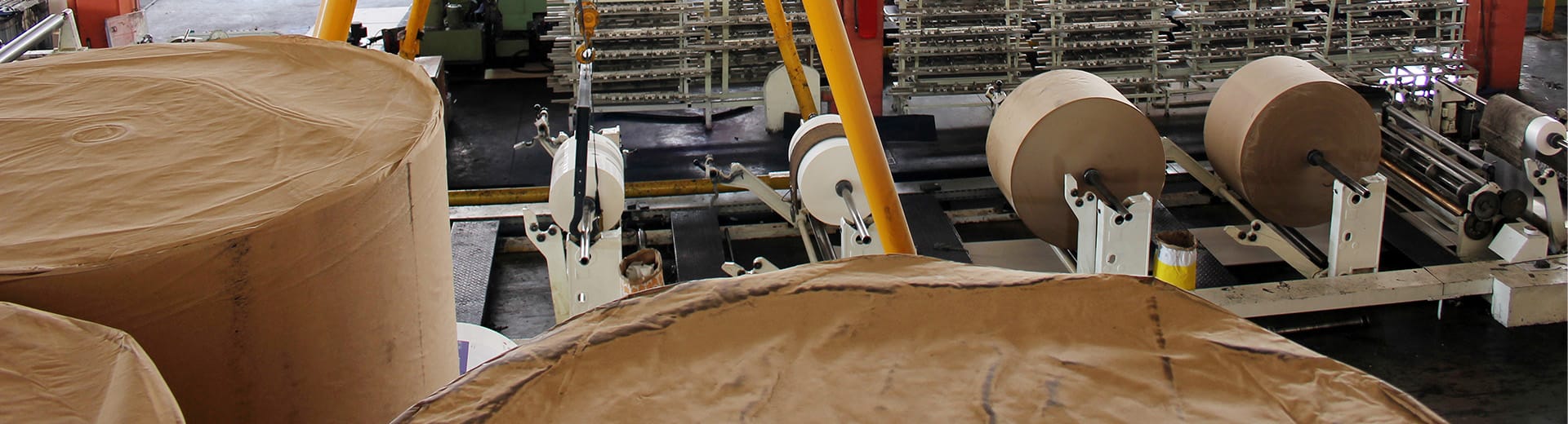 Indústria de Celulose e Papel